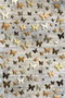 Conceptum Alfombra de Pasillo HMNT494 Multicolor 80 x 200 cm